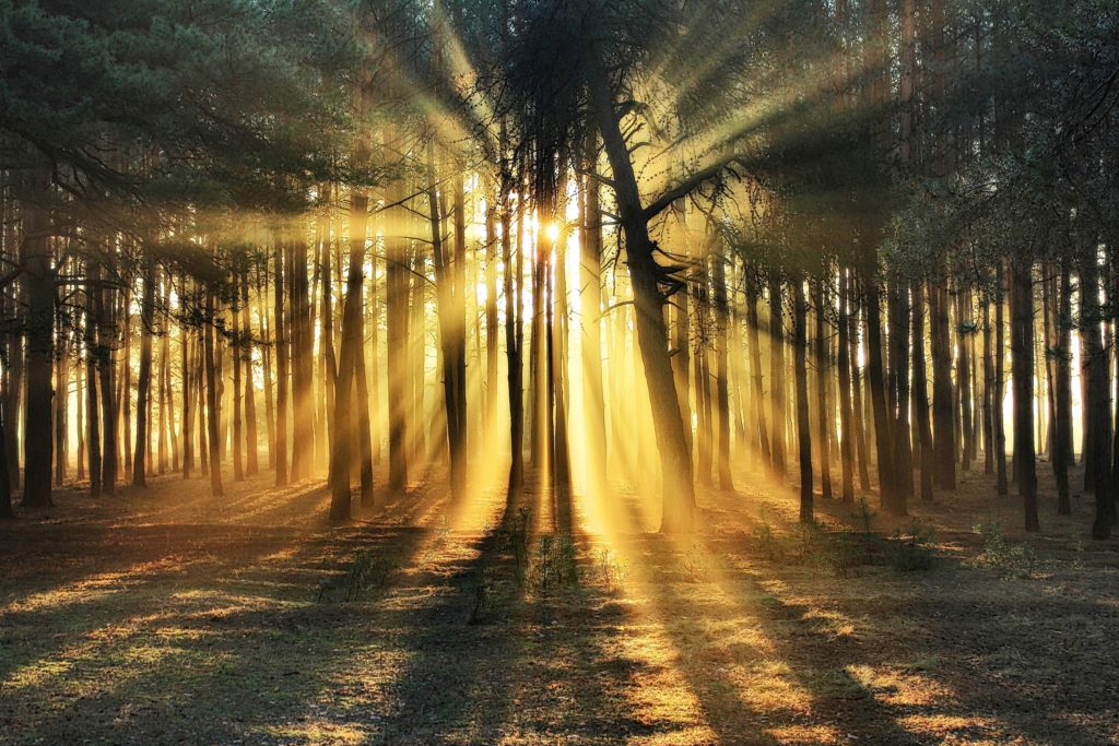 How Did You Know Empath Lights